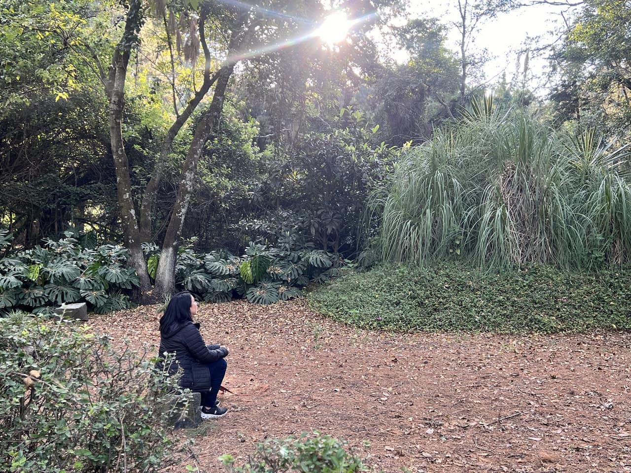 Jardín arbolado de La Troje Retreats con el sol entre los árboles